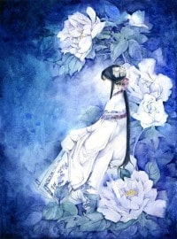 辰迷風雲錄